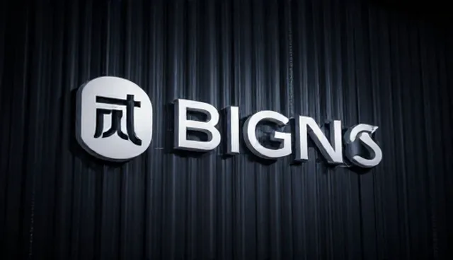 提升管理效率：品牌咨询在财税领域的实际应用分析